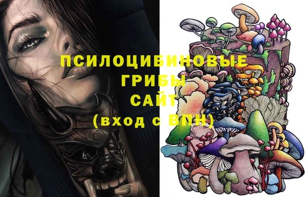 прущая мука Горно-Алтайск