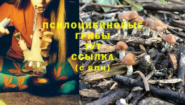 наркотики Горняк