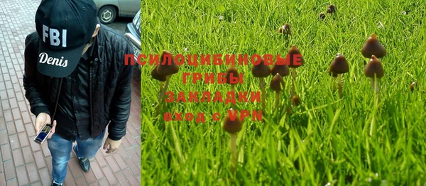 mix Горнозаводск