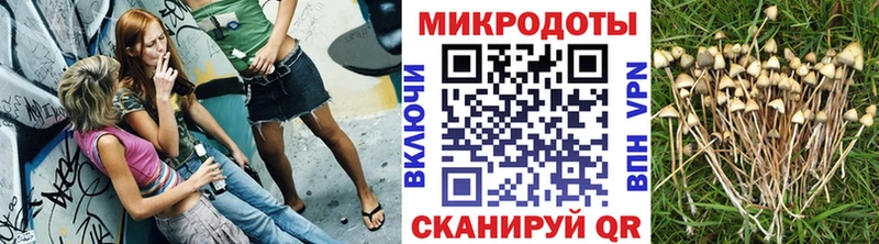 Псилоцибиновые грибы мухоморы  наркошоп  Зея 